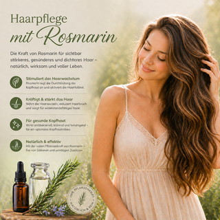 Neue Rosmarin Linie